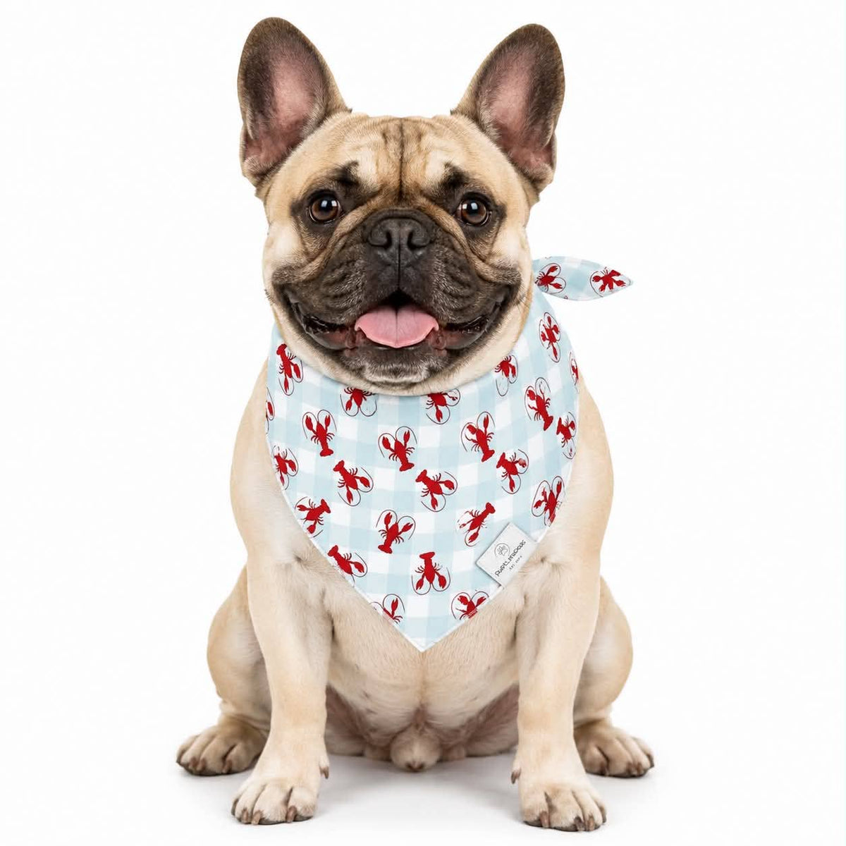 Lobster Dog Bandana