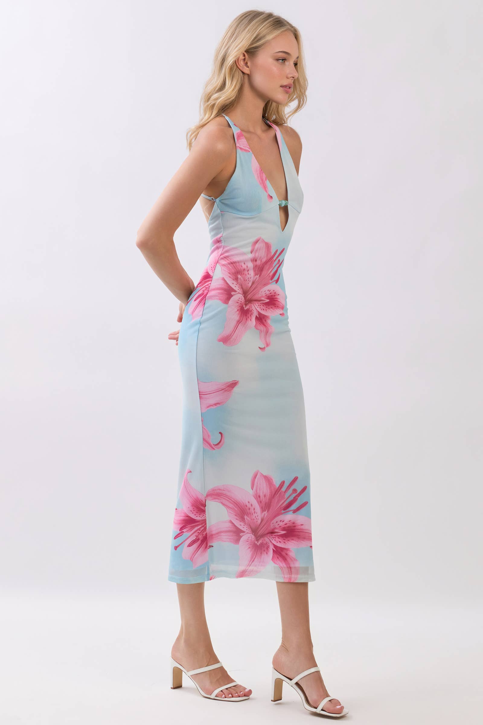 Hibiscus haze maxi dress