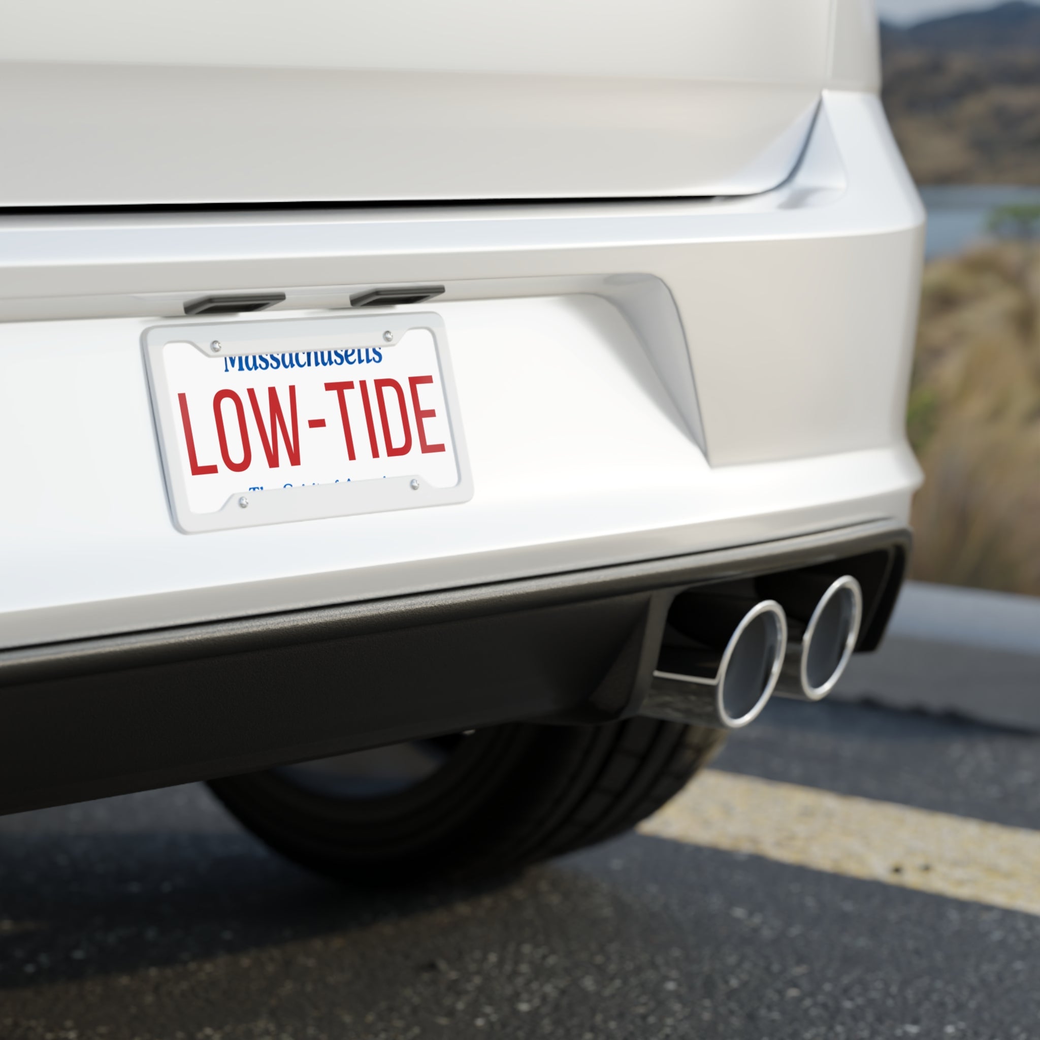 Low Tide License Plate Wall art