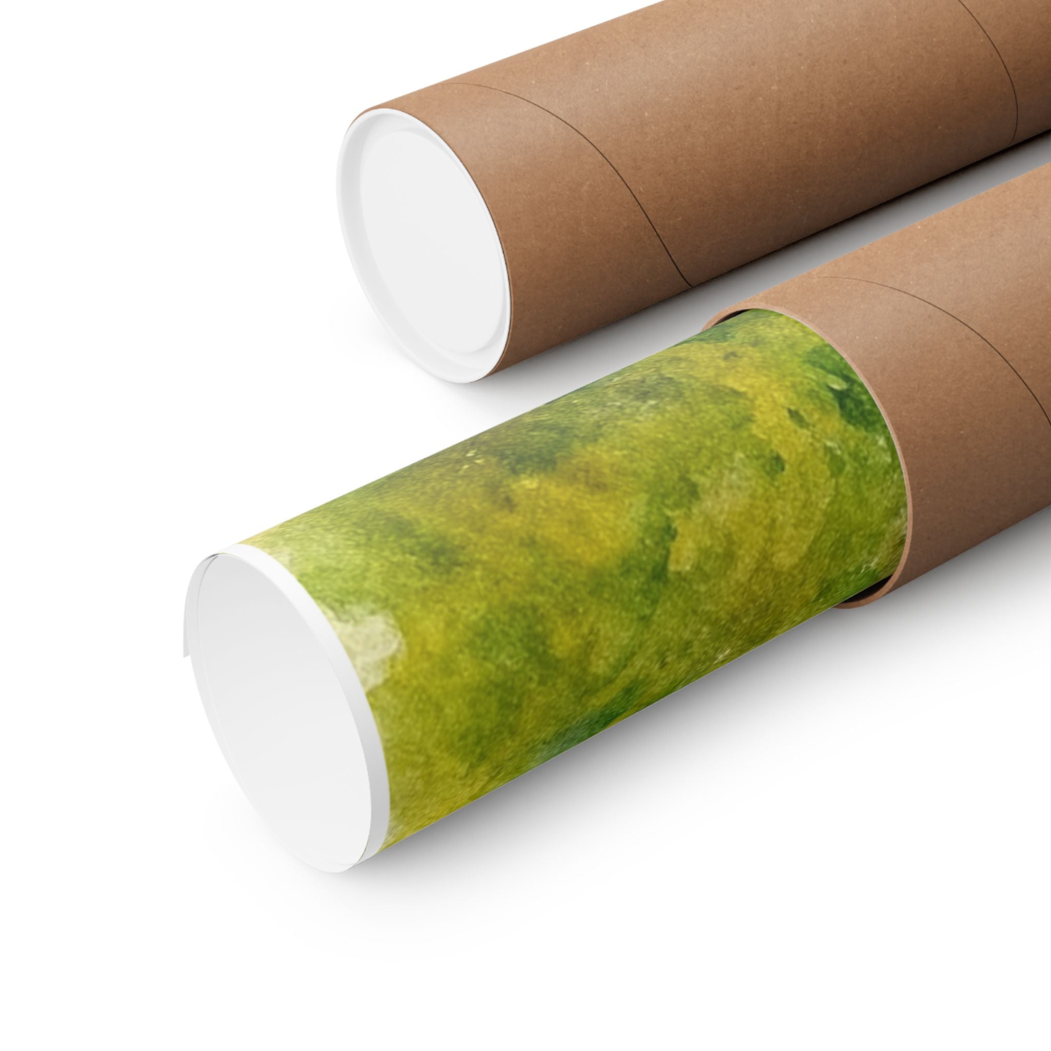 Entering Chatham Print