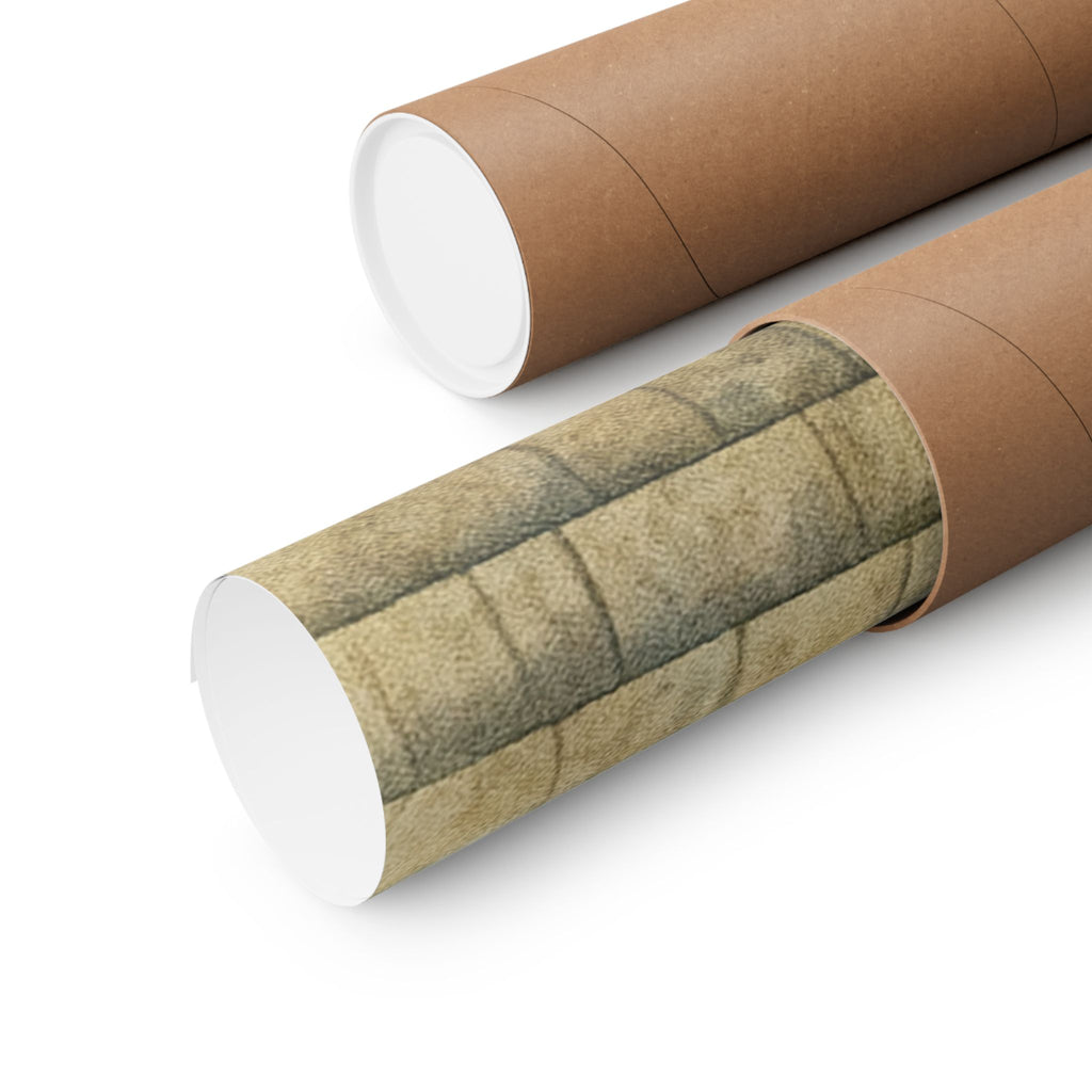 Chatham Whale House Print