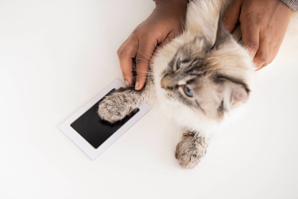 Pet Pawprint No mess