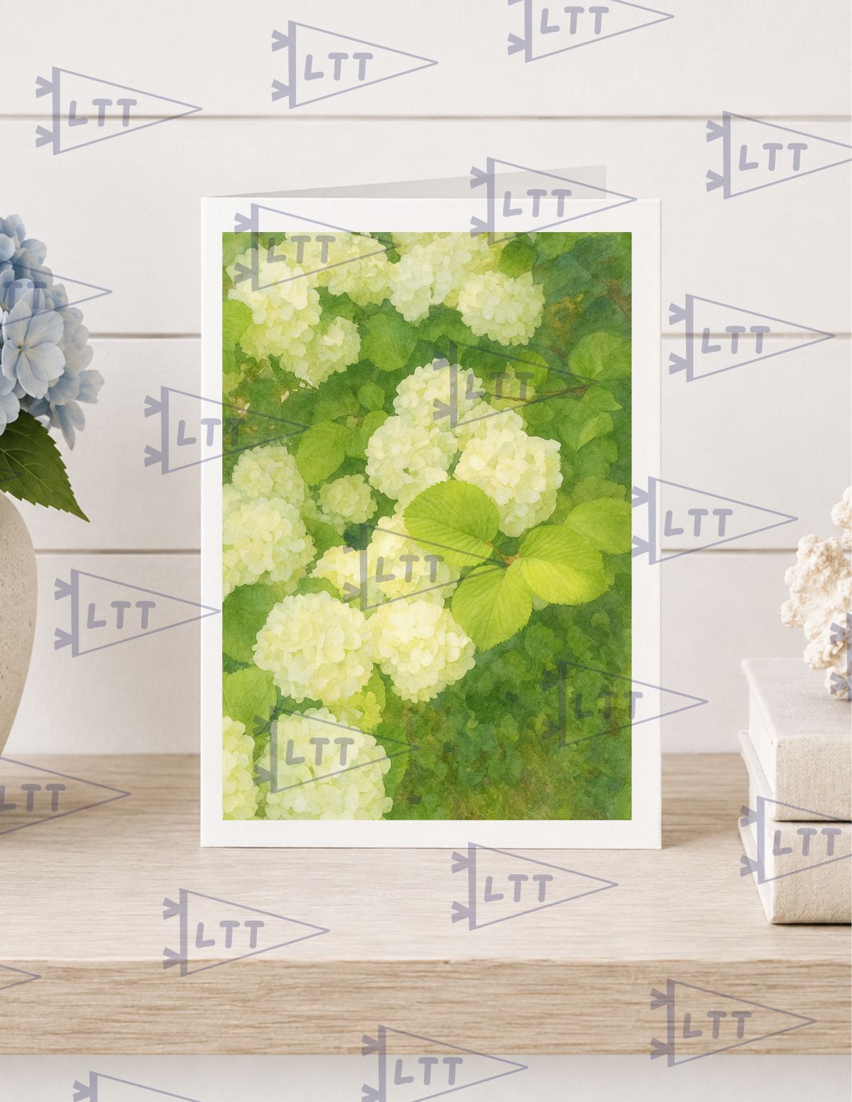 White Hydrangea Print and card