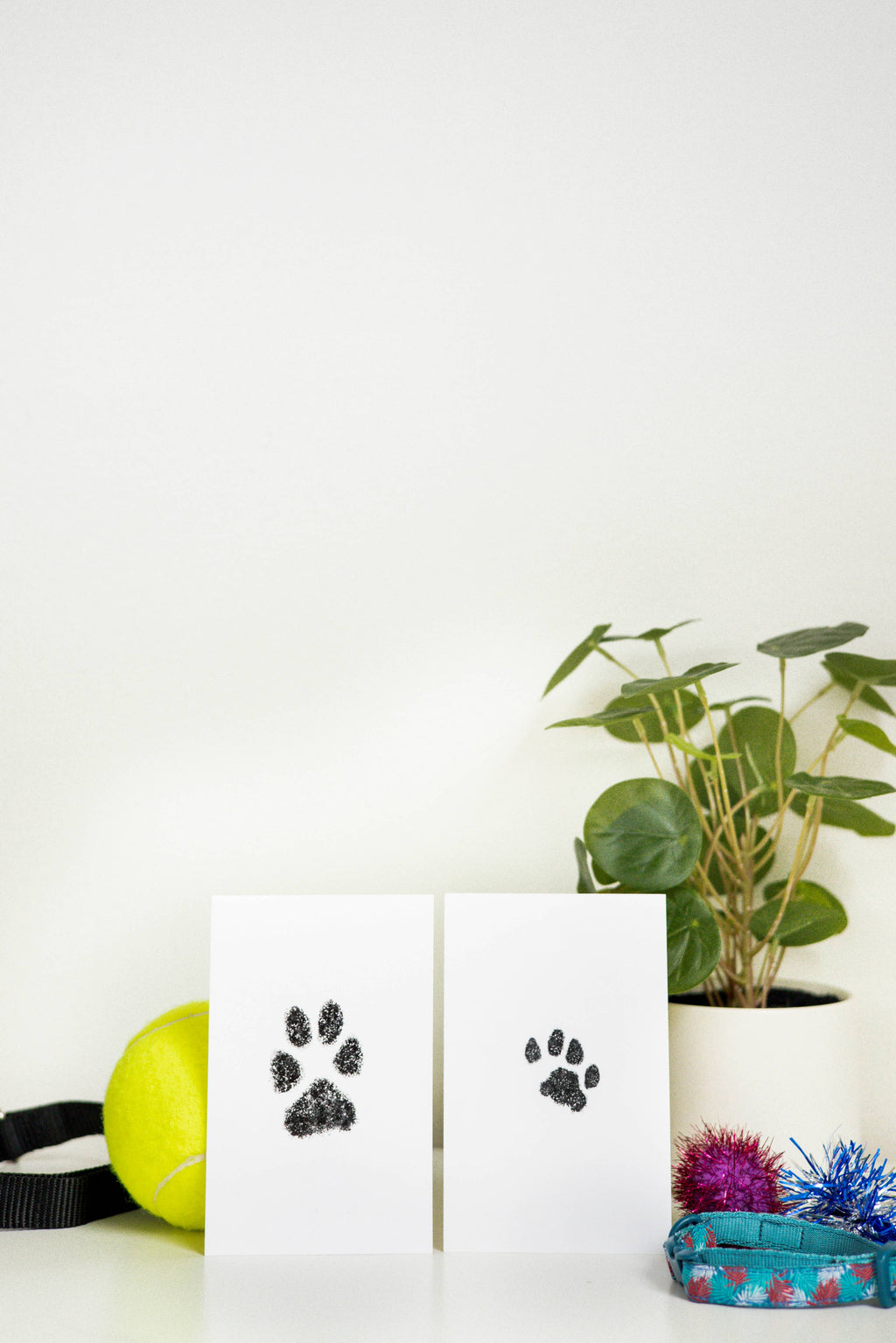 Pet Pawprint No mess
