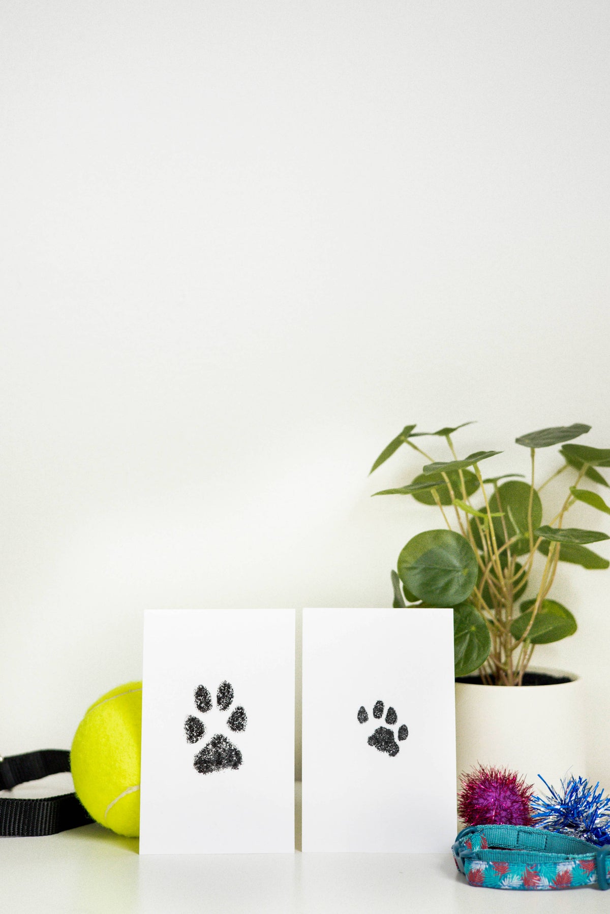 Pet Pawprint No mess