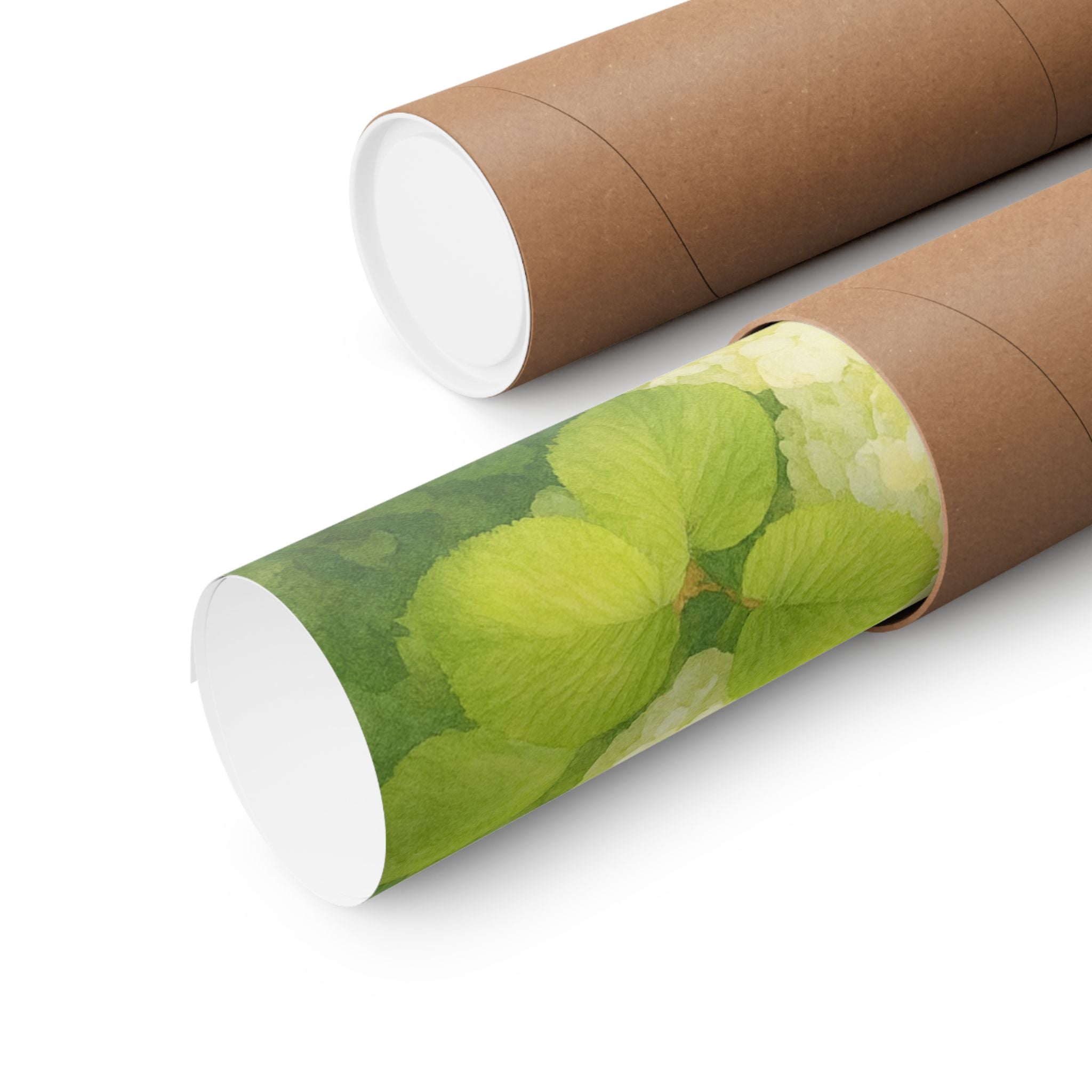 White Hydrangeas Print