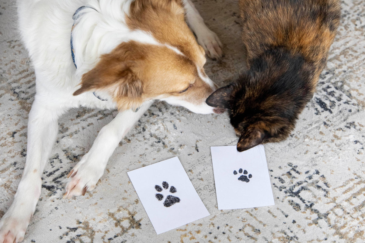 Pet Pawprint No mess