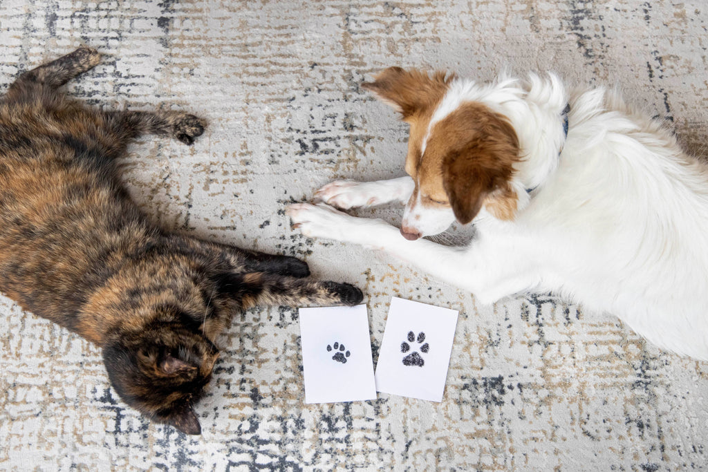 Pet Pawprint No mess