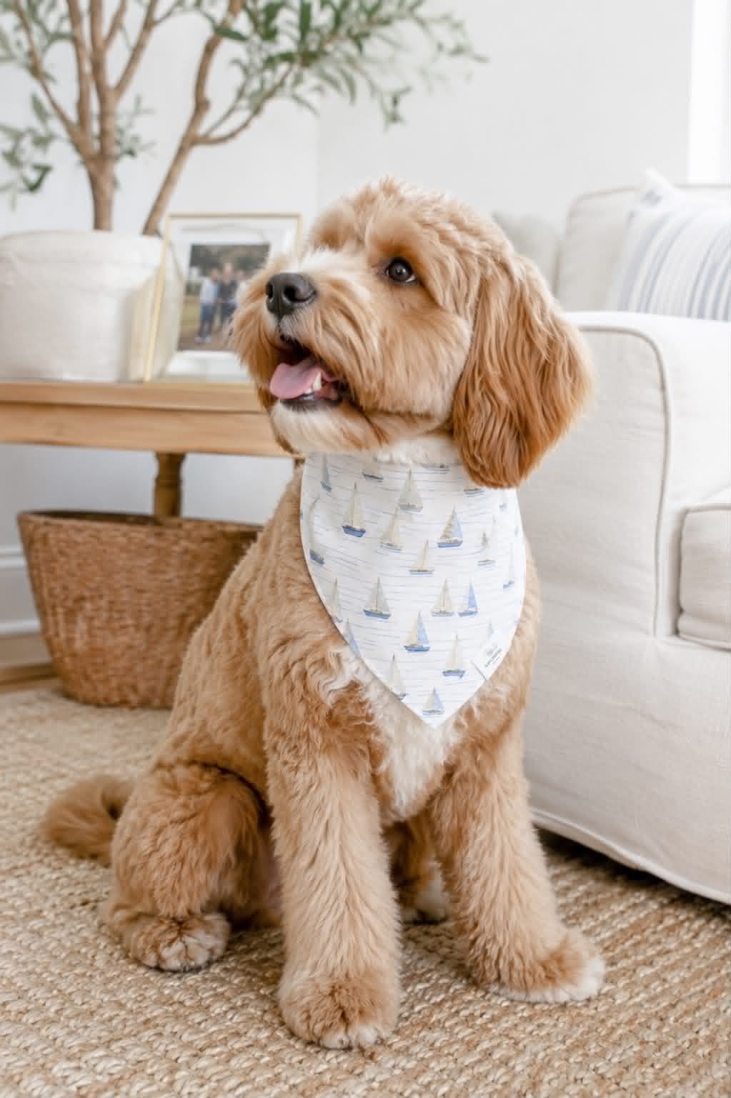 Sailboats Dog Bandana