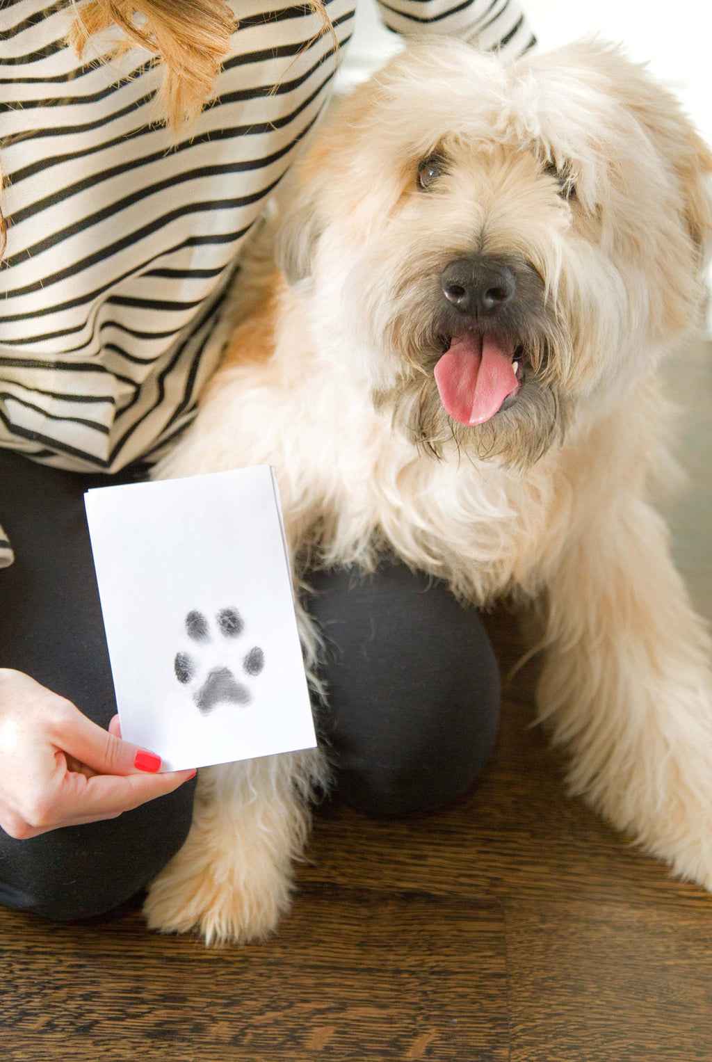 Pet Pawprint No mess